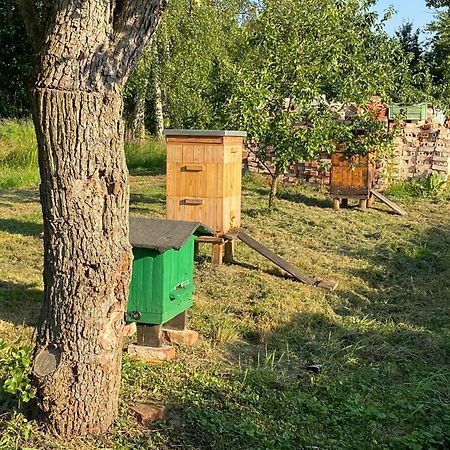 Agroturystyka Borow Prusice Dış mekan fotoğraf