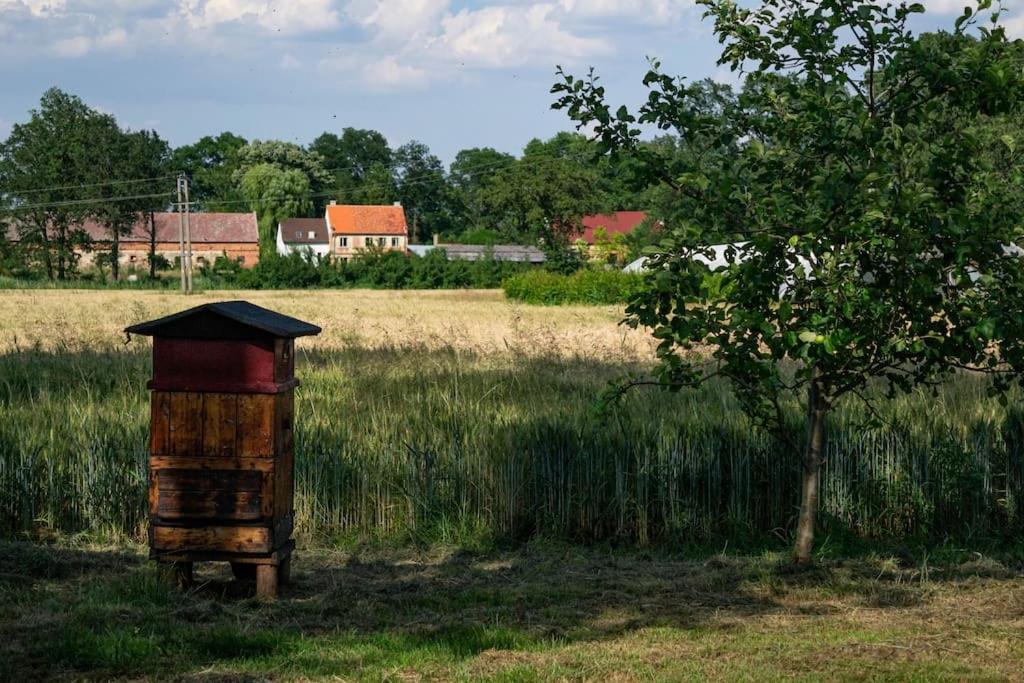 Agroturystyka Borow Prusice Dış mekan fotoğraf