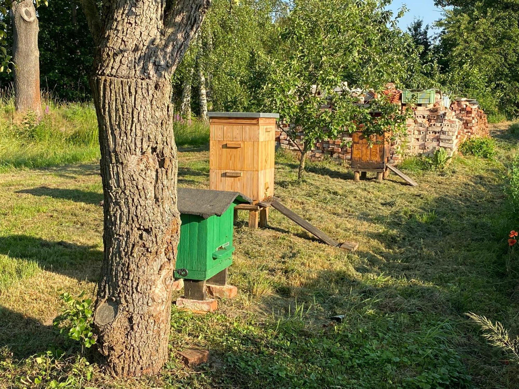 Agroturystyka Borow Prusice Dış mekan fotoğraf