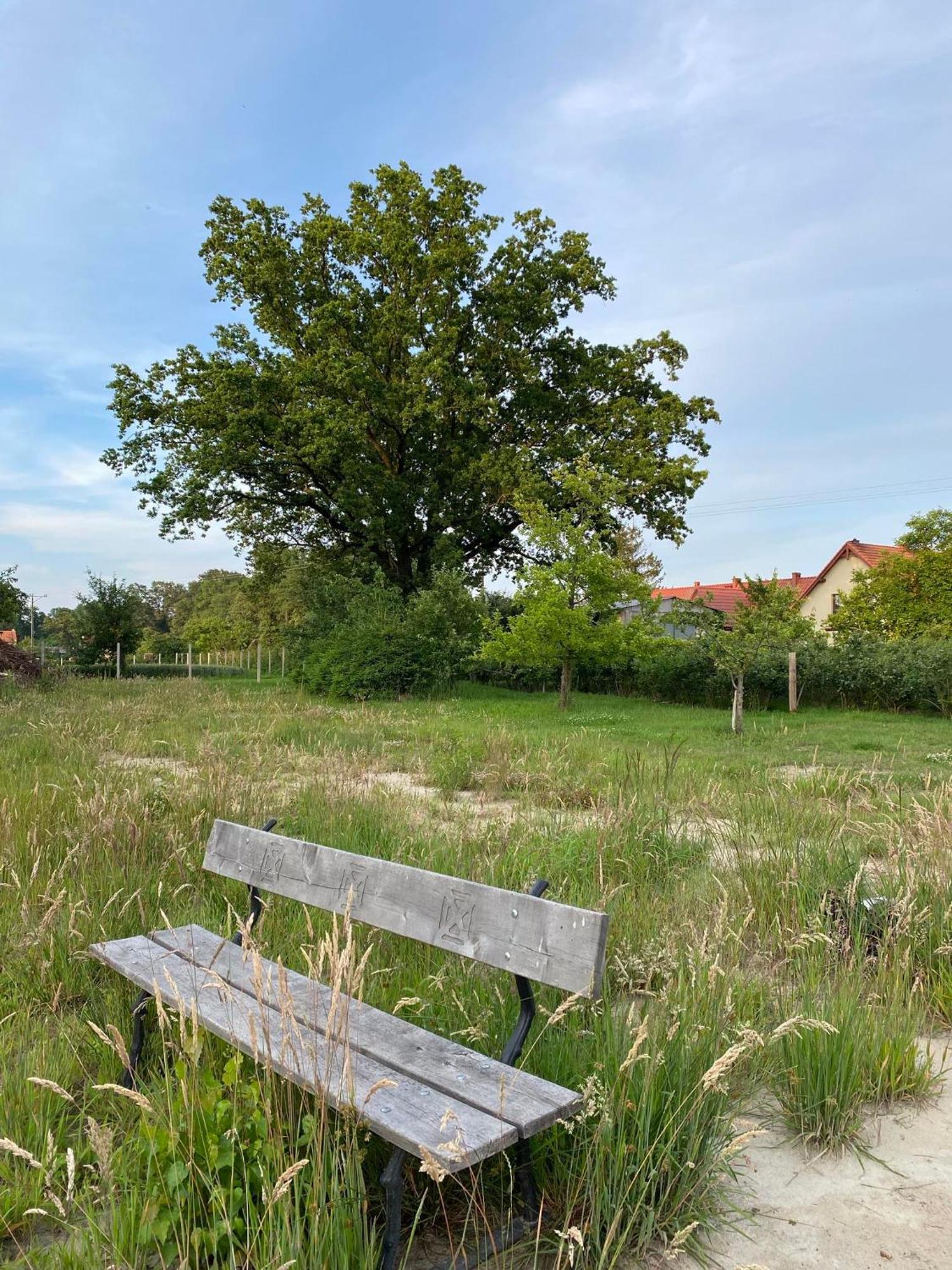 Agroturystyka Borow Prusice Dış mekan fotoğraf