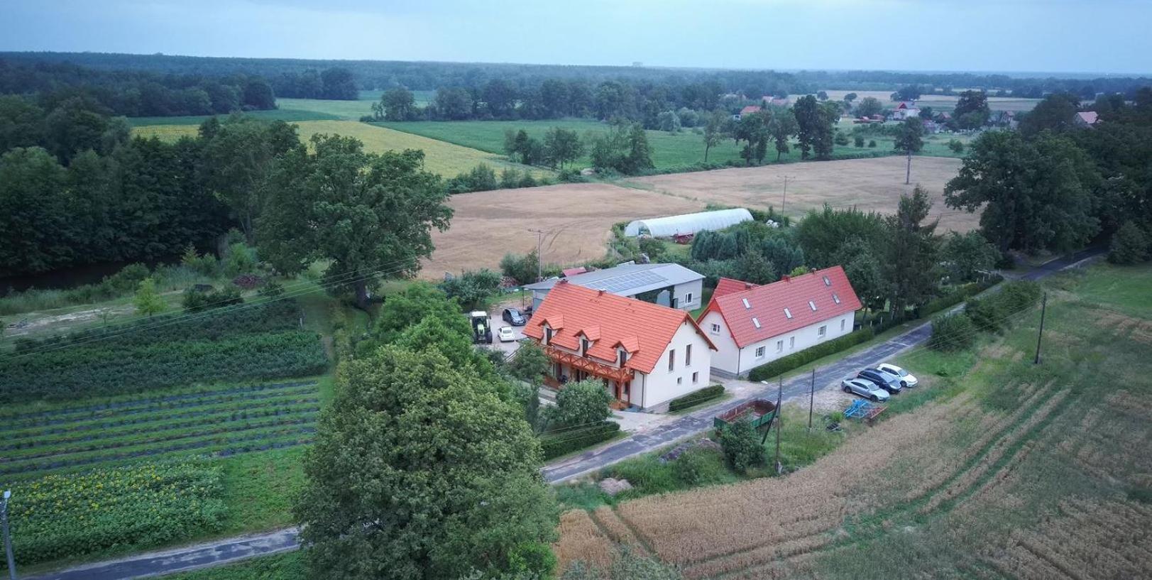 Agroturystyka Borow Prusice Dış mekan fotoğraf
